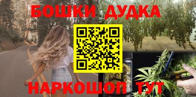 мдпв Татарск