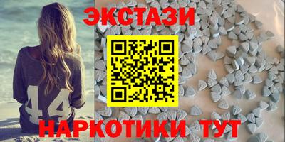 винт Тара