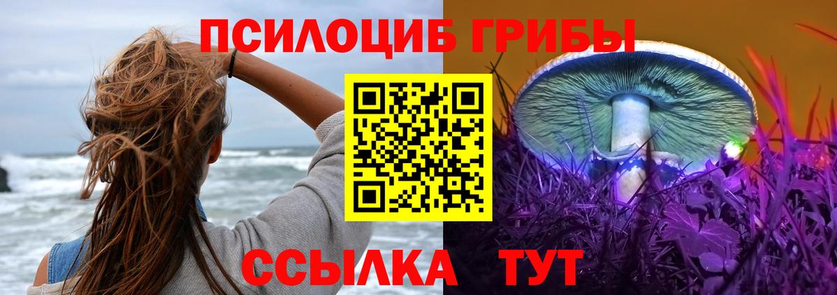 Ахтубинск  Псилоцибиновые грибы Psilocybe  Вход с VPN 